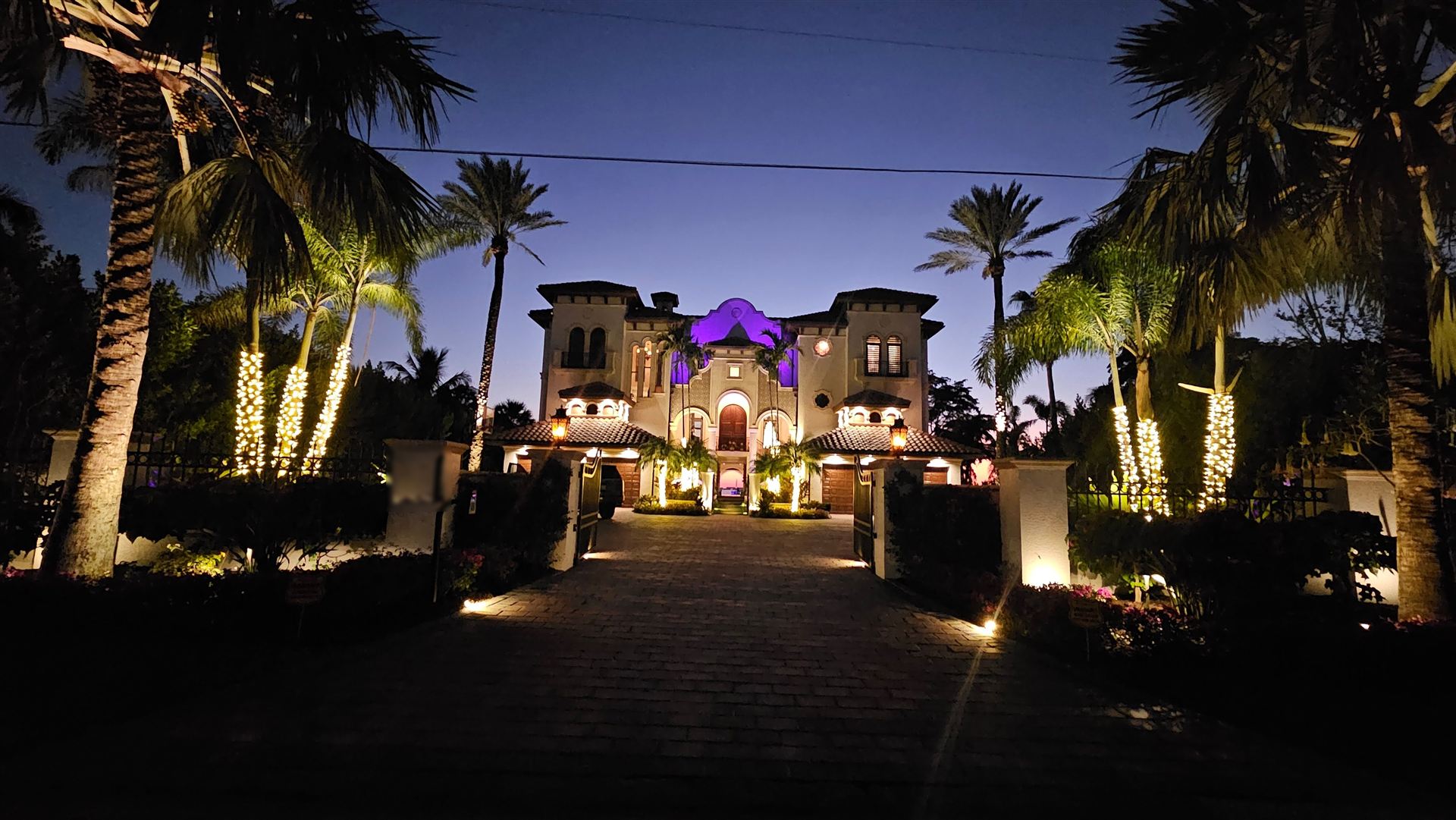 Landscape lighting installation by Y&M Electrical in Sarasota